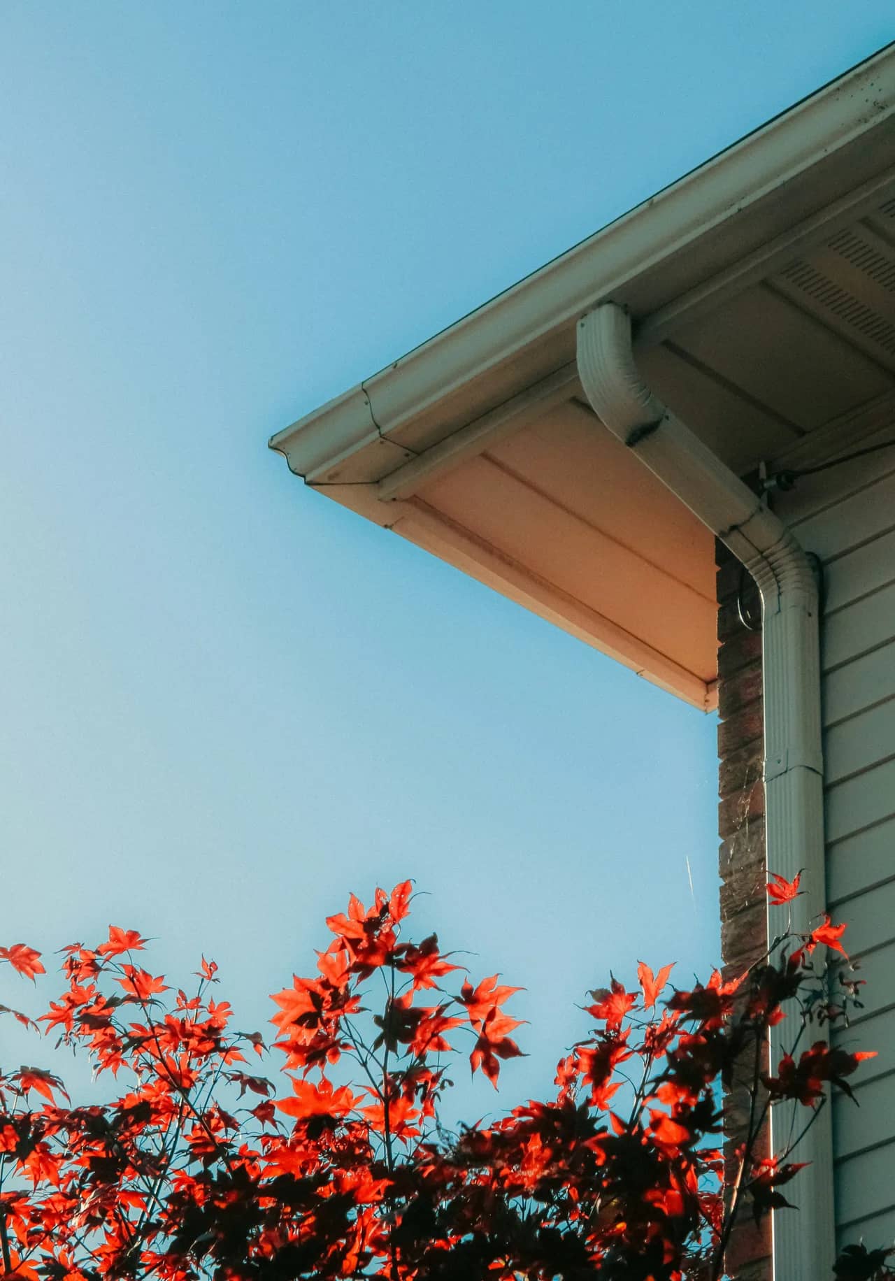ABC Seamless: Guttering, roofing and rainwater solutions in Brookvale